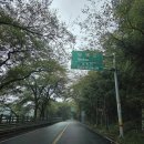 세븐일레븐 남해대교 엔젤점 이미지