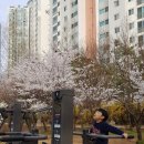 양재대로62길 이미지