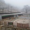 라파농장 이미지