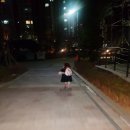 NR-34[서해로]-하-55 | [트럭캠퍼 캠핑]#041 국립생태원,장항오토캠핑장,베어트리파크 후기(220130~0201)