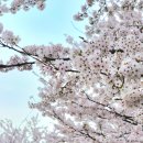 승월경로당 이미지