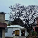 스테이 호자 이미지