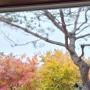 우아한 게으름 이미지