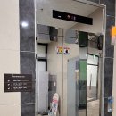 플로라 그루밍독 네이버블로그