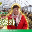 부국농장 이미지