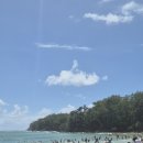 호주 noosa beach, sunday market 후기