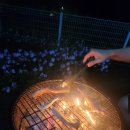 스테이 팔봉 | 충주애견동반펜션 스테이팔봉 풍경 예술 숙소 후기