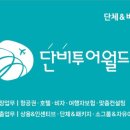 단비투어월드