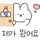 입주청소제이케이클린 - 광진구 광나루로30가길 13 | 입주청소제이케이클린