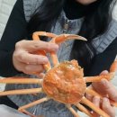 오팔수산 네이버블로그