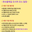 연육교실비 Daum카페