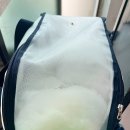 창천4가 2 | [서귀포시 안덕면] 제주도 갈치조림백반, 갈치강정 맛집 '삼거리식당'