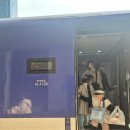 GR(부산광역시 기장군)-[동부산관광로]-하-7 | [부산]아이랑 2박3일 부산 기장 뚜벅이여행_숙소+맛집 이대로만!