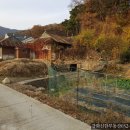 돌담공인중개사사무소 이미지