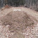 이사주당?유한규묘 이미지