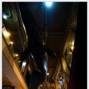 울산 장생포고래박물관 이미지