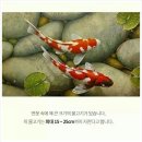 코이 - 용산구 이촌로 300 | 코이