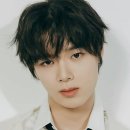 법인아이랜드