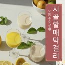 시골막걸리 네이버블로그