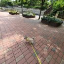 BOB영등포점 이미지