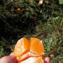 제이팜휴양펜션 이미지