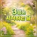 에메랄드로102번길 | 인천 청라 다이어트 운동 추천, 점핑 운동 1년 다닌 솔직 후기