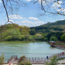 틀모산 도시숲 이미지