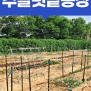 도성농장 이미지