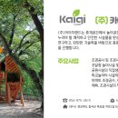 양동초등학교고송분교장 이미지