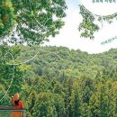 카페산바다 이미지