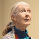 제인이화 이미지