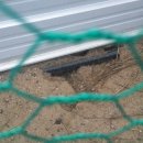 아리농장 이미지