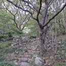 모천약수터 이미지