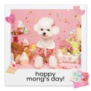 해피몽스데이 이미지