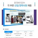 한국바이린