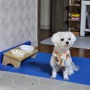 노작호수공원 | [10월] 돈 있냐고? 민생쿠폰이 다야