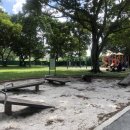 숲속아이 1 이미지