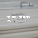 볼트PC | 금고형 캐리어, 리드볼트 신상 캐리어 오딧 내돈내산 캐리어 추천