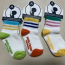 폴인퍼피 | 폴프랜즈 신제품 체험단 후기!