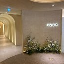 더빅스 | 줄기세포주사 셀빅스주사 솔직 후기! 스킨부스터 효과부터 가격까지