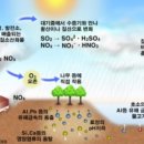 승용 농장 이미지