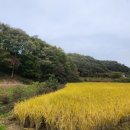 한천 마을회관 이미지