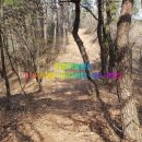 청풍마을펜션 이미지