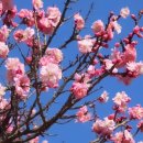 (주)누림 이미지