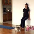홍대돈부리 - 광진구 군자로 4 | 홍대돈부리