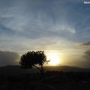 노을을 사랑하는 의 이미지