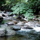 기회행정사사무소 이미지