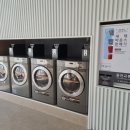 런드리 코인 세탁 이미지