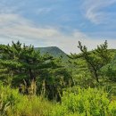 구봉산마을 이미지