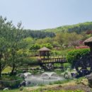 태화산파크 네이버블로그